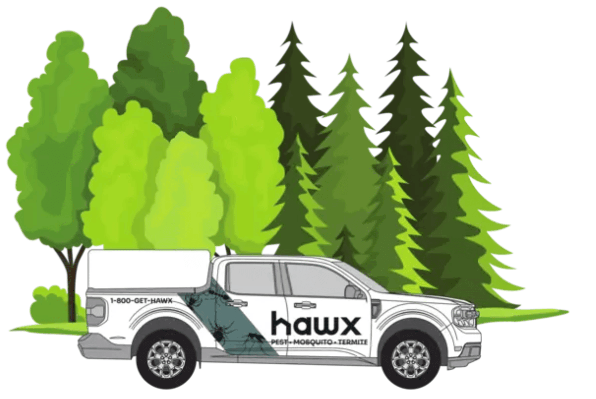 What Makes Hawx Smart?
