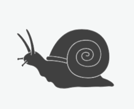 Snails and Slugs
