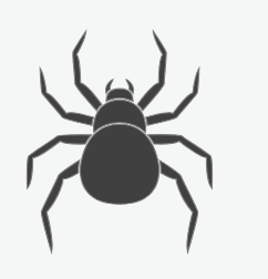 Spiders
