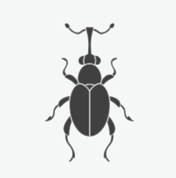 Wood Destroying Insects

