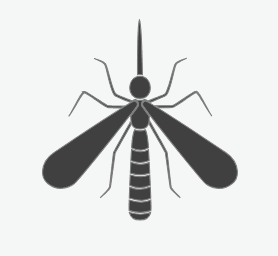 Mosquitoes
