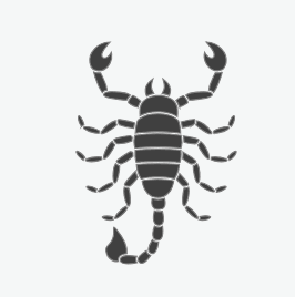 Scorpions
